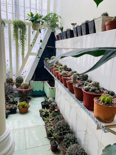 Phòng tập Yoga Tiên Nguyễn - Trung tâm yoga tại Tiền Giang