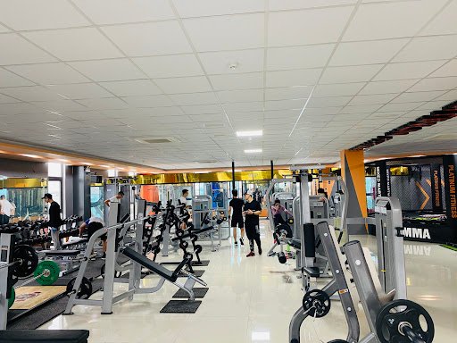 Top 10 Phòng Tập Gym Tuyên Quang Giá Rẻ, Uy Tín Platinum Fitness Tuyen Quang