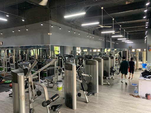 Top 17 Phòng Tập Yoga Quận Hoàng Mai Hà Nội Giá Rẻ, Uy Tín Rambo Gym 282 Lĩnh Nam - Phòng tập thể dục tại Hoàng Mai, Hà Nội