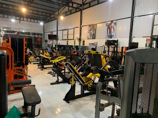 Trình Gym Fitness Bảo Lâm