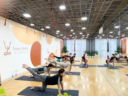 Danh Sách Phòng Tập Yoga Quận Đống Đa, Hà Nội Giá Rẻ, Uy Tín Venus Studio Yoga By Hanh Trung tam yoga tai Dong Da