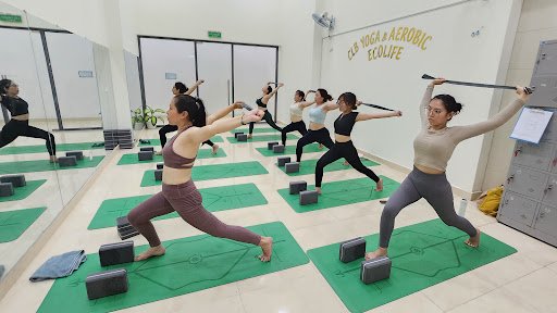 Top 10 Phòng Tập Yoga Bình Định Giá Rẻ, Uy Tín Hàng Đầu VoHieu Yoga Ngô Mây