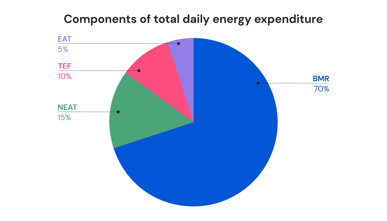 What is total daily energy expenditure (TDEE)? | MacroFactor