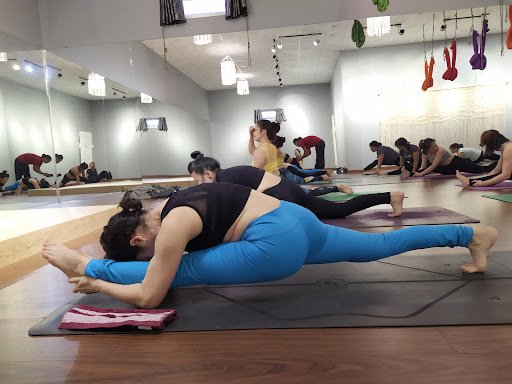 Top 10 Phòng Tập Yoga Lâm Đồng Giá Rẻ, Uy Tín và Chất Lượng Yoga An Thủy Bảo Lộc