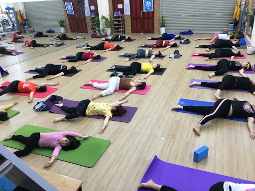 Danh Sách Các Phòng Tập Yoga Quảng Ninh Giá Rẻ, Uy Tín Bên Vịnh Hạ Long Yoga Quang Ninh Cam Thanh