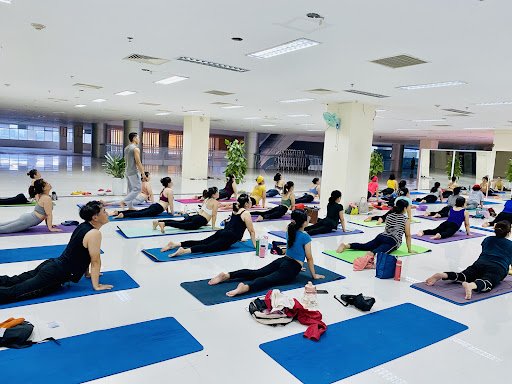Top 10 Phòng Tập Yoga Bình Định Giá Rẻ, Uy Tín Hàng Đầu Yoga Quang Trung Lê Lợi