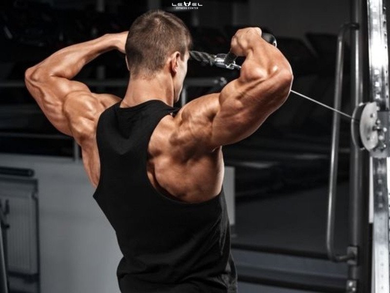 Face Pulls tăng cường sức mạnh thân trên