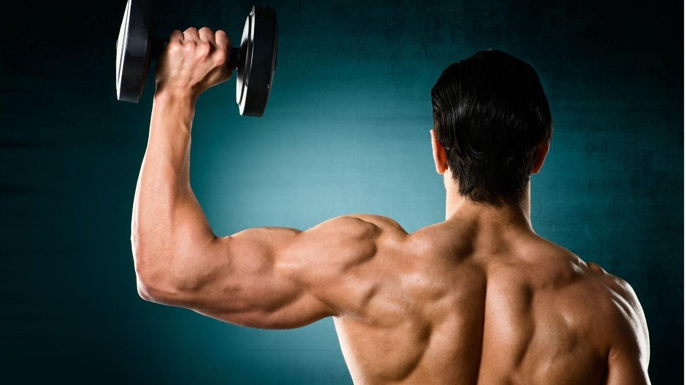 Mức Tạ Cho Nam Mới Tập Gym: Hướng Dẫn Chi Tiết Từ A-Z Hinh anh nam moi tap gym can nhac chon muc ta phu hop kha nang