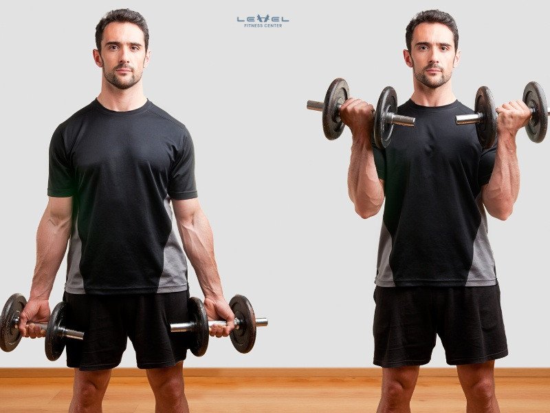 Bài tập Bicep Curl giúp tăng cơ và giảm mỡ hiệu quả