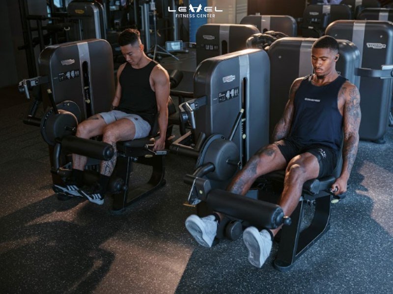 So sánh mục tiêu tập luyện giữa gym và yoga: gym tăng cơ giảm mỡ, yoga tăng sự dẻo dai và linh hoạt
