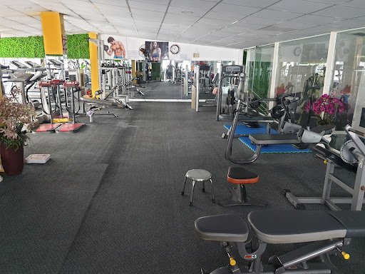Top 10+ Phòng Tập Aerobic Phú Nhuận Giá Rẻ, Chất lượng Fitness