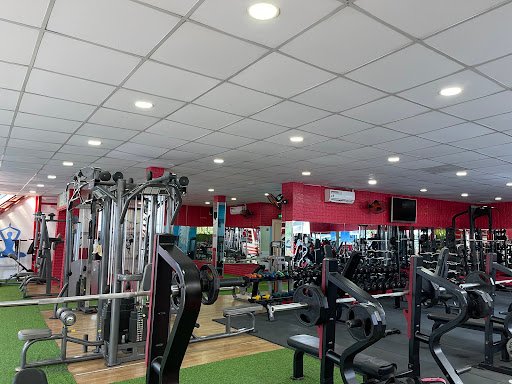 Top Phòng Gym gần Trần Não, TP. Thủ Đức Giá Rẻ, Chất lượng tại TP.HCM 99 Fitness Quận 2 - Phòng Gym tại TP.HCM