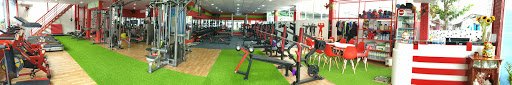Top 10+ Phòng Tập Boxing Quận 2 Giá Rẻ, Chất lượng 99 Fitness Quận 2 - Phòng Tập Boxing Quận 2