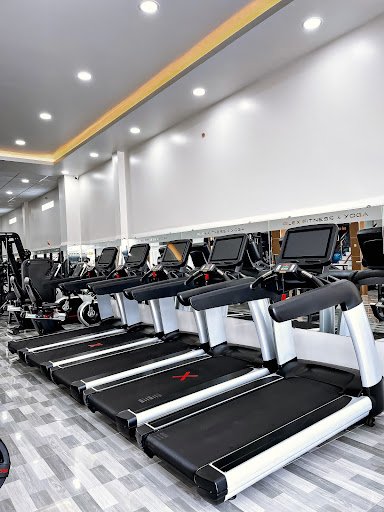 Top 10+ Phòng Tập Aerobic Bình Chánh Giá Rẻ, Chất lượng ALEX FITNESS & YOGA - Phòng Tập Aerobic Bình Chánh