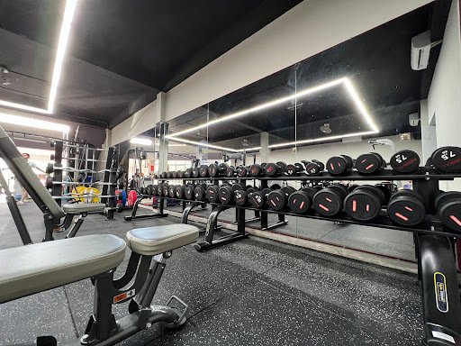 Top Phòng Gym gần đình Phong Phú, Quận 9 Giá Rẻ, Chất lượng APEX GYM - Phòng Gym gần đình Phong Phú, Quận 9