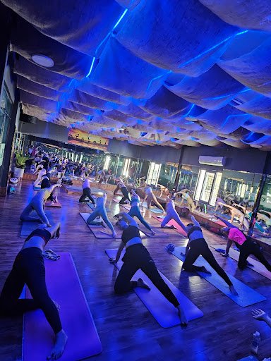 Top 10 Trung Tâm Yoga Bình Thạnh, TP.HCM Chất Lượng, Giá Rẻ CLB Bida 66 Bình Thạnh - Trung tâm yoga tại Bình Thạnh, TP.HCM