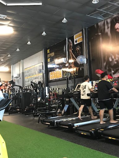 Top phòng tập boxing tiền giang Giá Rẻ, Chất lượng COBRA GYM - phòng tập boxing tiền giang
