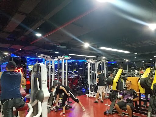 Top 10+ Phòng Tập Boxing Phú Nhuận Giá Rẻ, Chất lượng California Fitness & Yoga Quận Phú Nhuận - Phòng Tập Boxing Phú Nhuận