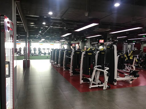 Top phòng tập yoga gần văn quán hà đông Giá Rẻ, Chất lượng California Fitness & Yoga - trung tâm thể dục tại Hà Đông