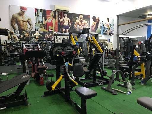 D GYM - Phòng Gym tại TP.HCM