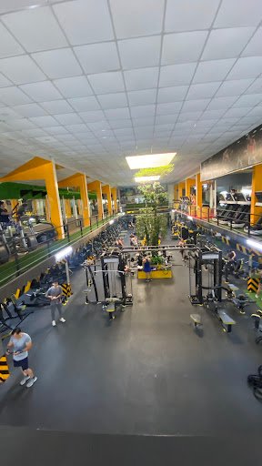 ĐH GYM Quận 4 - Cicilia Fitness & Yoga - Phòng Tập Boxing Quận 4