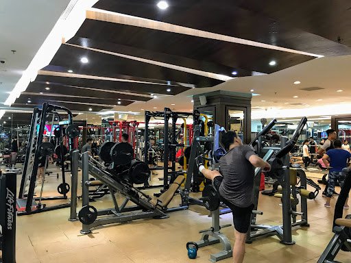 Top 10 Phòng Gym Gần đường Phố Huế Quận Hai Bà Trưng, Hà Nội Giá Rẻ, Chất Lượng Elite Fitness Vincom Bà Triệu - Trung tâm thể dục tại Hai Bà Trưng, Hà Nội