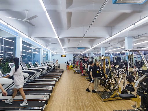 GYM CENTER HP_ZONE - phòng tập boxing bạc liêu