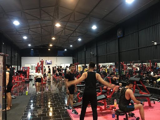 Top 20 Phòng Gym Củ Chi Chất Lượng, Giá Tốt, Uy Tín Hiện Nay GYM+ - Phòng gym Củ Chi