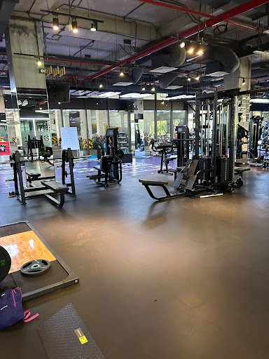 Top 10+ Phòng Tập Aerobic Quận 10 Giá Rẻ, Chất lượng Gà Gym - Phòng Tập Aerobic Quận 10
