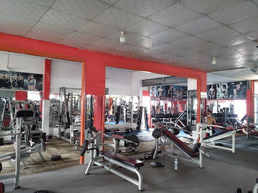 Top 10+ Phòng Tập Boxing Hóc Môn Giá Rẻ, Chất lượng Gym Đông Thạnh Kaka - Phòng Tập Boxing Hóc Môn