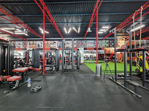 Top 20 Phòng Gym Hóc Môn, TP.HCM Tốt Nhất Hiện Nay Gym & Fitness 317 - Phòng gym Hóc Môn
