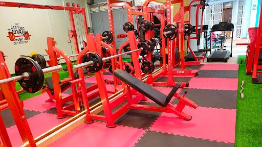 HĐL FITHOME - Phòng Gym Việt Trì, Phú Thọ