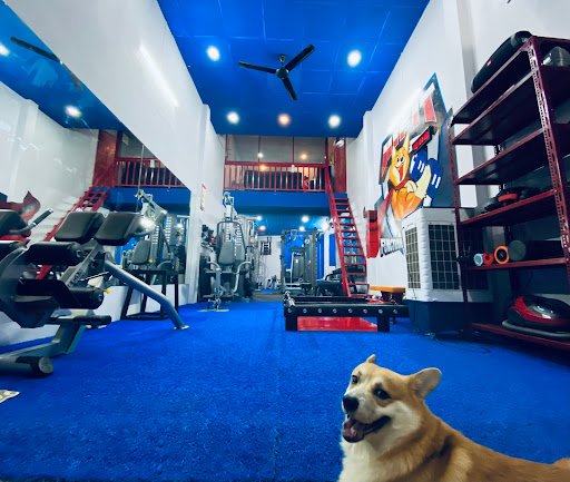 Hifit Private Gym _ phòng chuyên kèm PT 1-1 Thủ Đức - Phòng Tập Boxing Thủ Đức