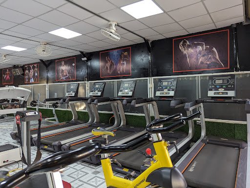 Hoàng Đức Gym - phòng tập boxing long an