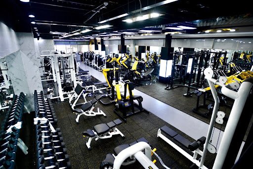 Human Fitness and Yoga Center - Phòng gym Quận 2