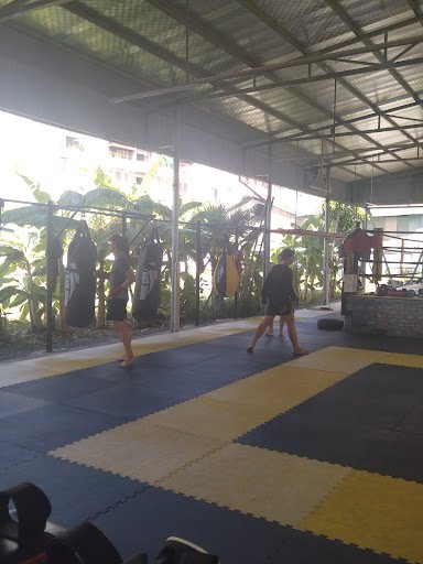Top 10 Phòng boxing Thanh Xuân Giá Rẻ, Chất lượng Jaguar MMA Club - Phòng boxing Thanh Xuân