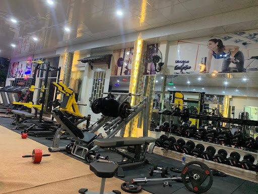 Top 20 Phòng Gym Củ Chi Chất Lượng, Giá Tốt, Uy Tín Hiện Nay Life Fitness Gym - Phòng gym Củ Chi