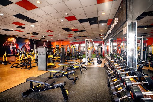 Lio Fitness And Yoga - Phòng gym Quận 8