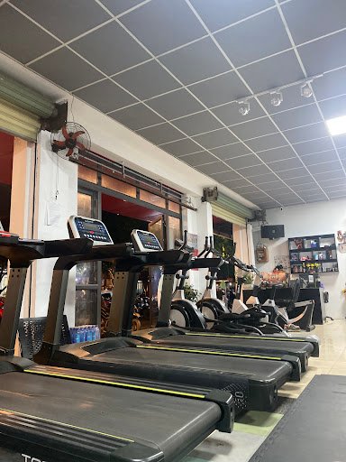 Lion Gym - CLB Thể hình chuyên nghiệp - phòng tập boxing hà tĩnh