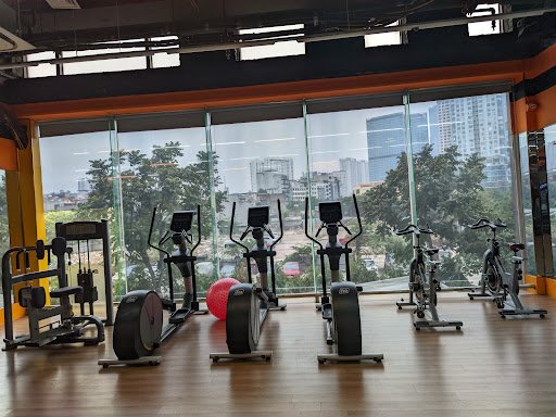 Top 8 Phòng Gym Gần đường Xuân Thủy Quận Cầu Giấy, Hà Nội Uy Tín Love Fitness amp Yoga Phong tap the duc tai Cau Giay Ha Noi