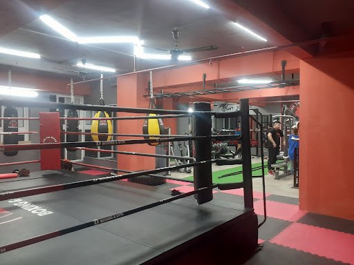 Top 10 Phòng boxing Hà Đông Giá Rẻ, Chất lượng Lừu Thị Duyên Boxing Fitness Club - Phòng boxing Hà Đông