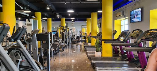 Top 8 Trung Tâm Yoga Gần Nguyễn Văn Cừ Quận 1, TP.HCM Chất Lượng, Giá Rẻ Mach's Gym - Yoga gần Nguyễn Văn Cừ Quận 1