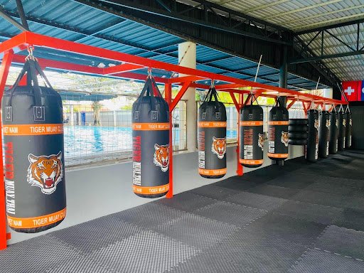 Top phòng tập boxing long an Giá Rẻ, Chất lượng Muay Thai Long An Tiger Muay Club LA phong tap boxing long an