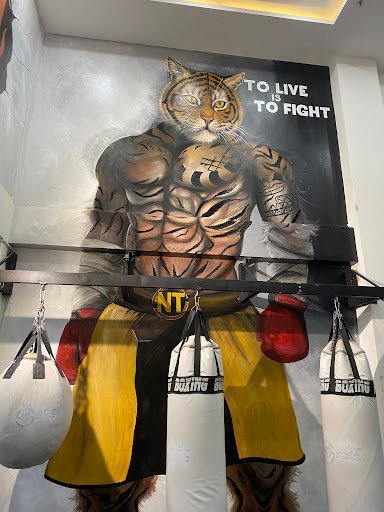 Top 10+ Phòng Tập Boxing Bình Thạnh Giá Rẻ, Chất lượng NT boxing kickfit - Phòng Tập Boxing Bình Thạnh