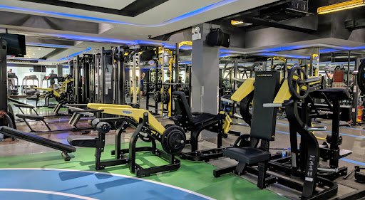 Top Phòng Gym gần Đại học Công nghiệp TP.HCM Giá Rẻ, Chất lượng tại TP.HCM Nhà Thi Đấu Hồ Xuân Hương - Phòng Gym gần Đại học Công nghiệp TP.HCM tại TP.HCM