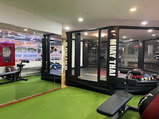 Top 10 Phòng Gym Tân Phú Uy Tín, Giá Rẻ Hiện Nay PEAK FITNESS & YOGA - Phòng gym Tân Phú