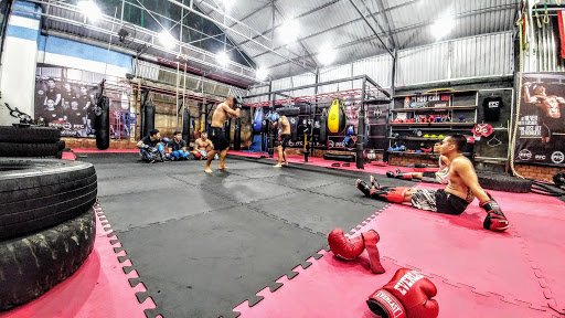 Top phòng tập boxing Kon Tum Giá Rẻ, Chất lượng PFC