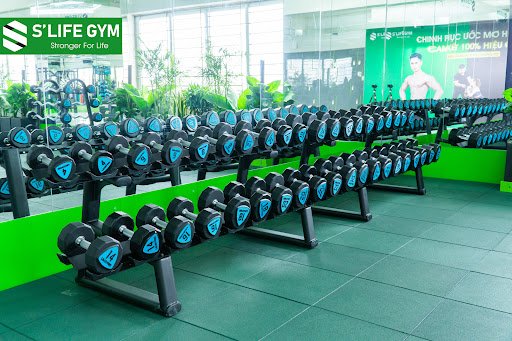 Top 10+ Phòng Tập Aerobic Quận 6 Giá Rẻ, Chất lượng Phong Tap Aerobic Quan 6