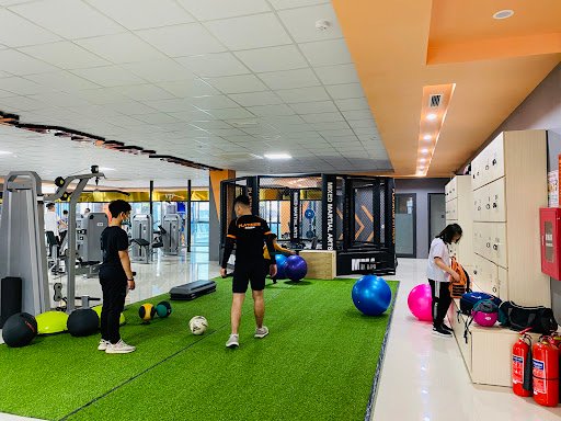 Top phòng tập boxing tuyên quang Giá Rẻ, Chất lượng Platinum Fitness - phòng tập boxing tuyên quang