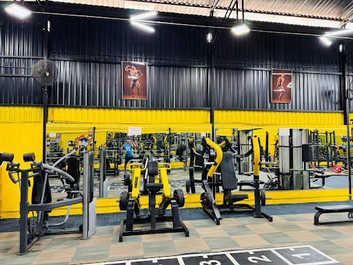 Top phòng tập boxing Vĩnh Long Giá Rẻ, Chất lượng Sonic Gym - phòng tập boxing vĩnh long